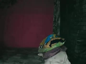 Avatar of kritthanarkorn