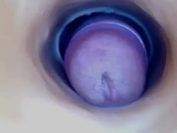 Avatar of paulainoscente