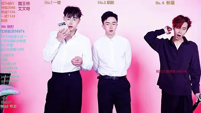 Boygayhouse — Freechat on StripChat