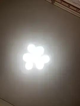 Janet_Welder — Freechat on StripChat