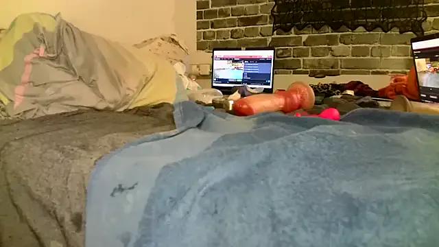 Avatar of shineofcrazy